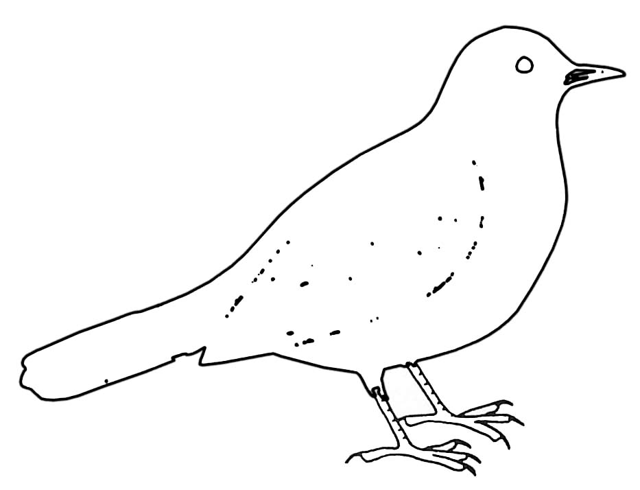 Dessin à colorier: Oiseaux (Animaux) #11977 - Coloriages à Imprimer Gratuits