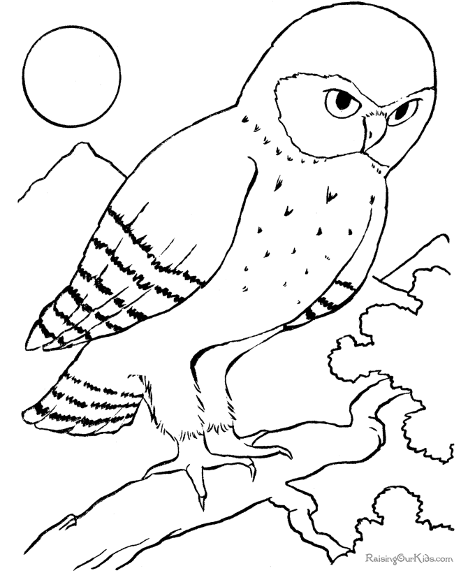 Dessin à colorier: Oiseaux (Animaux) #11990 - Coloriages à Imprimer Gratuits