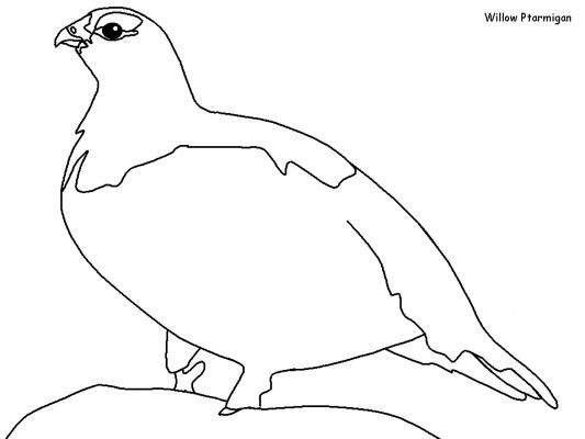 Dessin à colorier: Oiseaux (Animaux) #11991 - Coloriages à Imprimer Gratuits