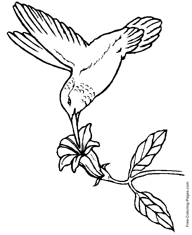 Dessin à colorier: Oiseaux (Animaux) #11994 - Coloriages à Imprimer Gratuits