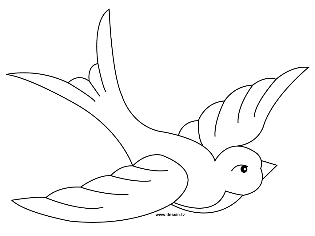Dessin à colorier: Oiseaux (Animaux) #11998 - Coloriages à Imprimer Gratuits