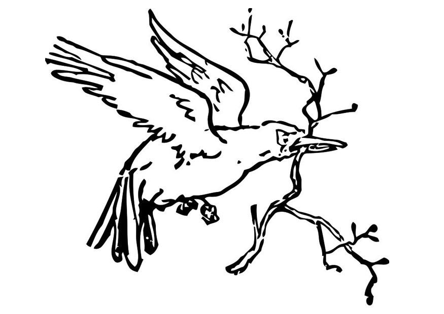 Dessin à colorier: Oiseaux (Animaux) #12006 - Coloriages à Imprimer Gratuits