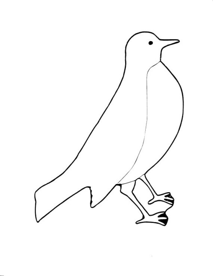 Dessin à colorier: Oiseaux (Animaux) #12011 - Coloriages à Imprimer Gratuits