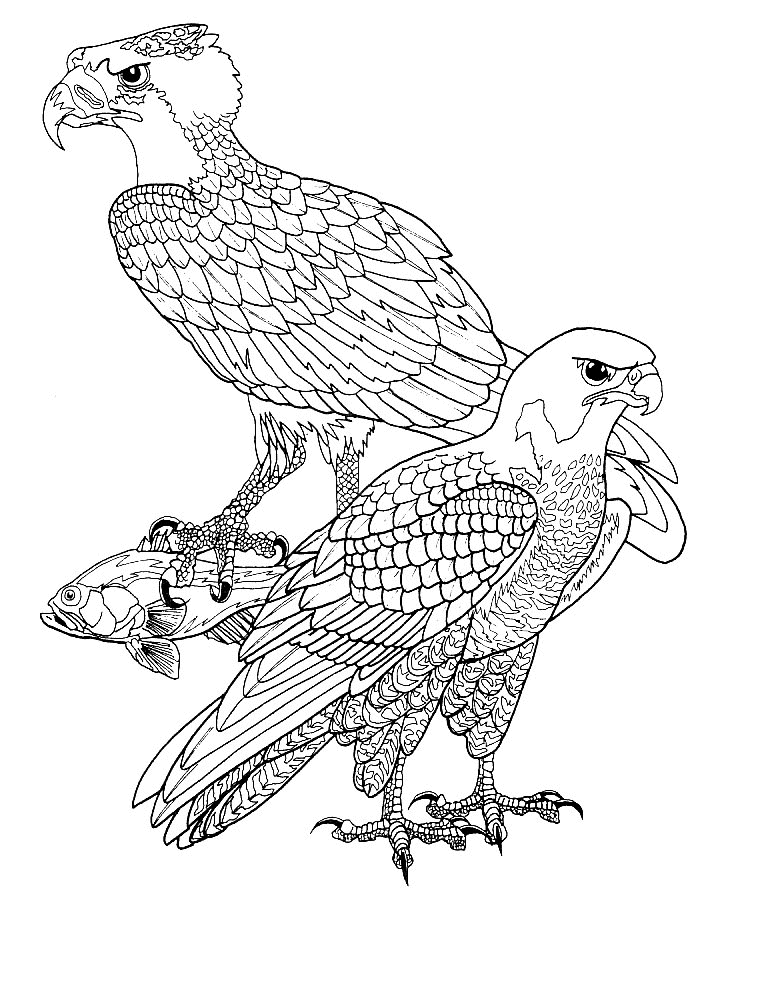 Dessin à colorier: Oiseaux (Animaux) #12053 - Coloriages à Imprimer Gratuits