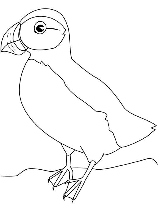 Dessin à colorier: Oiseaux (Animaux) #12098 - Coloriages à Imprimer Gratuits