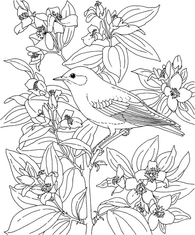 Dessin à colorier: Oiseaux (Animaux) #12108 - Coloriages à Imprimer Gratuits