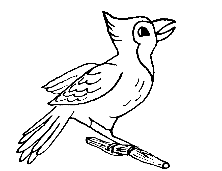 Dessin à colorier: Oiseaux (Animaux) #12112 - Coloriages à Imprimer Gratuits