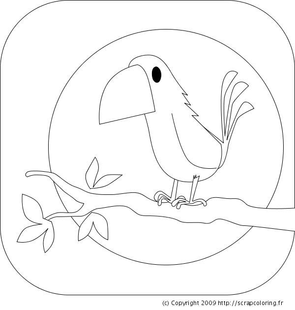 Dessin à colorier: Oiseaux (Animaux) #12139 - Coloriages à Imprimer Gratuits