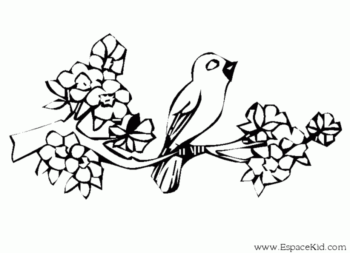 Dessin à colorier: Oiseaux (Animaux) #12147 - Coloriages à Imprimer Gratuits