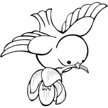 Coloriage gratuit Oiseaux #174998 de la collection Animaux à imprimer