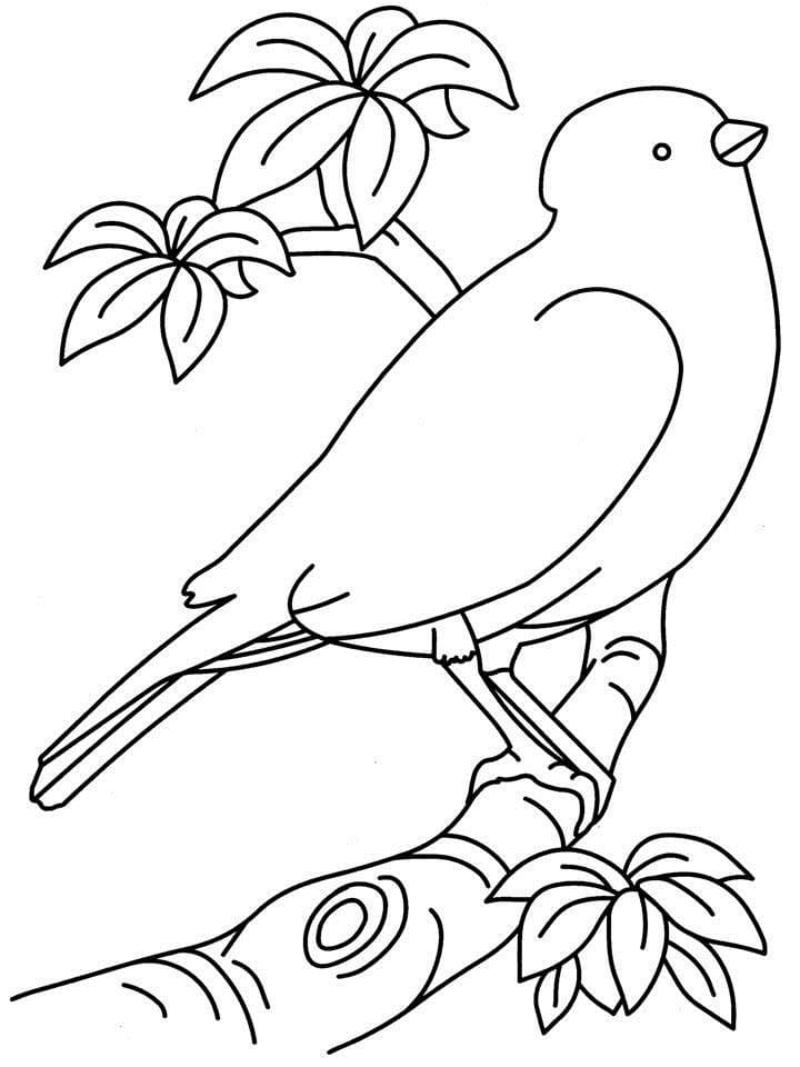 Illustration au trait Oiseaux #175009 de la collection Animaux à colorier gratuitement