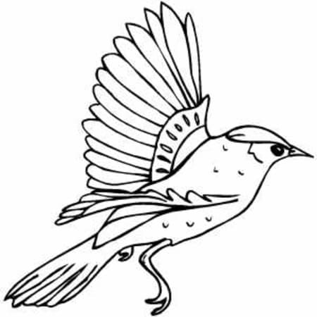 Joli coloriage Oiseaux #175012 de la collection Animaux, prêt à imprimer pour petits et grands