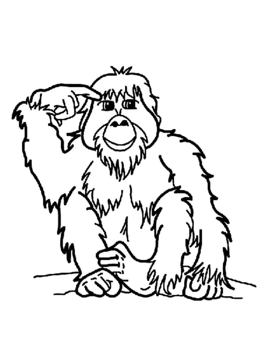 Dessin à colorier: Orang Outan (Animaux) #191572 - Coloriages à Imprimer Gratuits