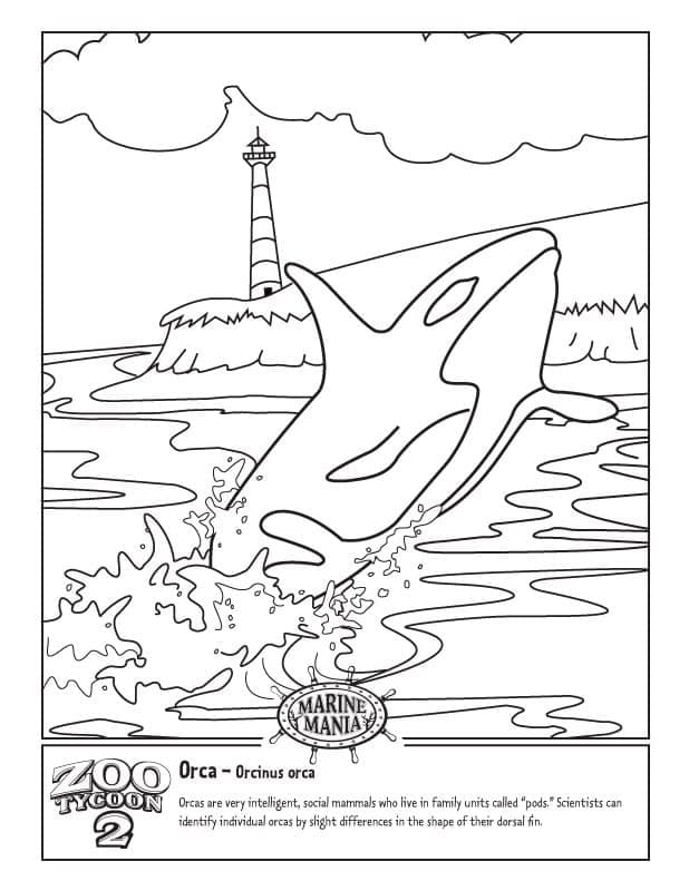 Coloriage gratuit Orque #213444 de la collection Animaux à imprimer