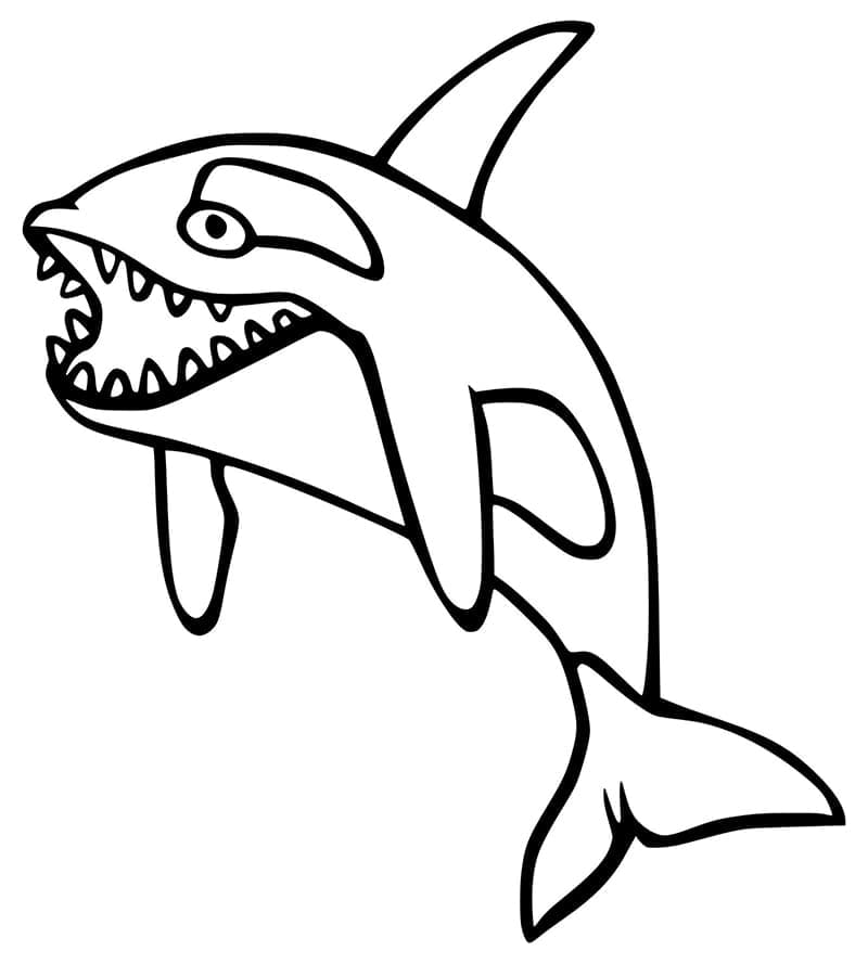 Coloriage gratuit Orque #213450 de la collection Animaux à imprimer Coloriage gratuit Orque #213450 de la collection Animaux à imprimer