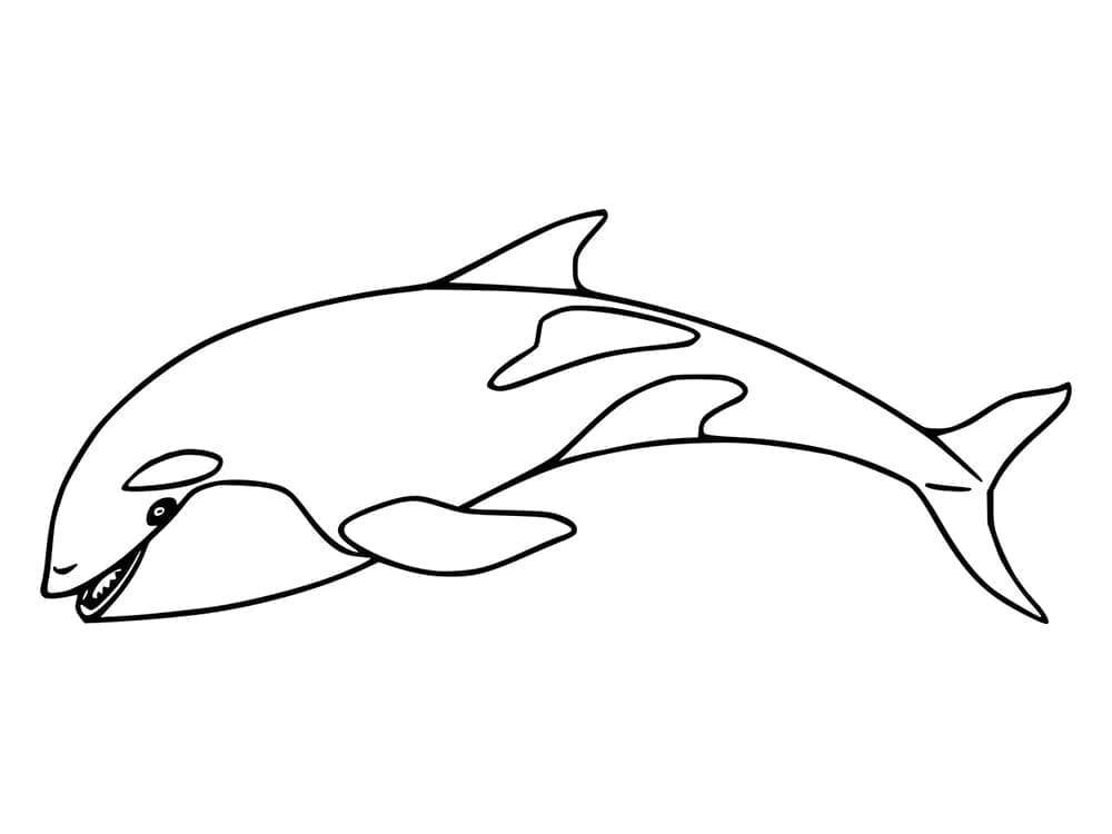 Coloriage gratuit Orque #213452 de la collection Animaux à imprimer