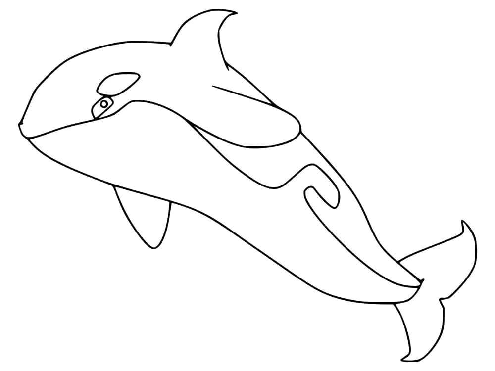 Coloriage gratuit Orque #213463 de la collection Animaux à imprimer