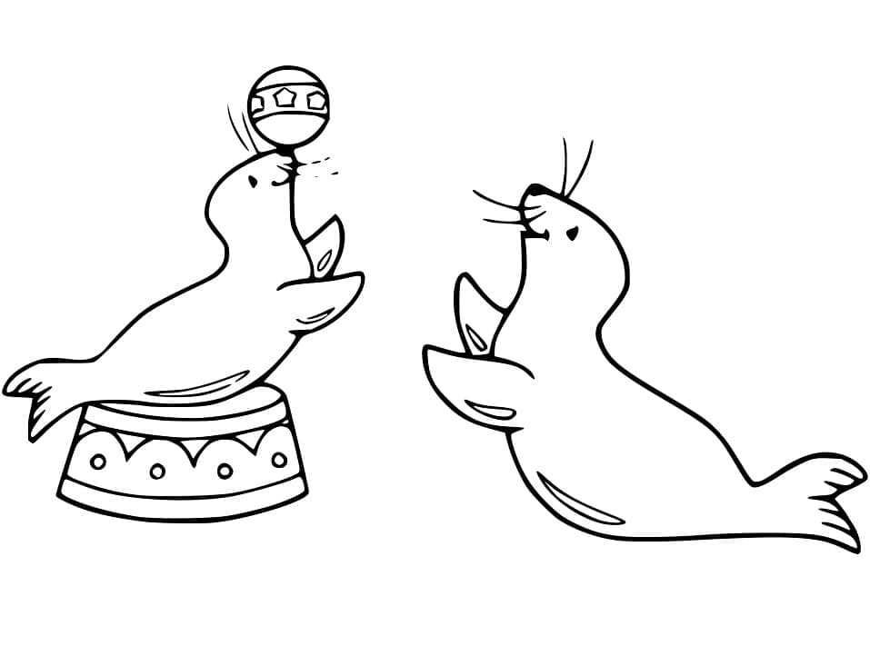 Coloriage gratuit Otarie #192526 de la collection Animaux à imprimer