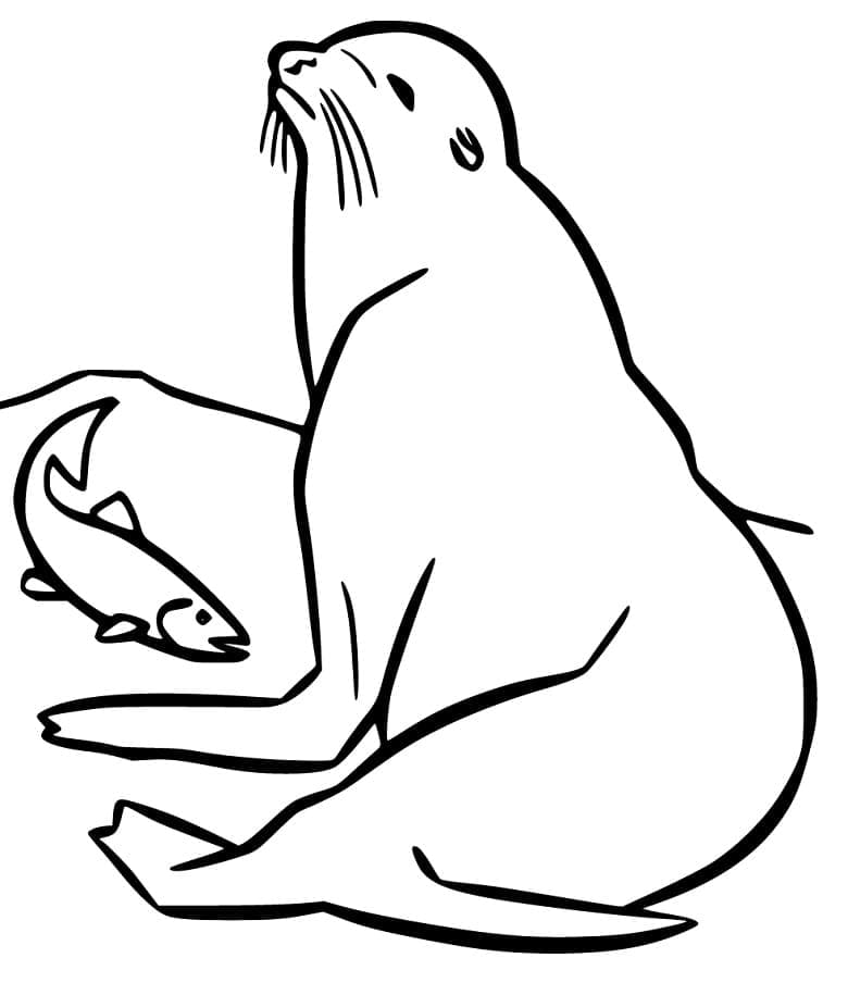 Dessin à colorier: Otarie (Animaux) #192528 - Coloriages à Imprimer Gratuits