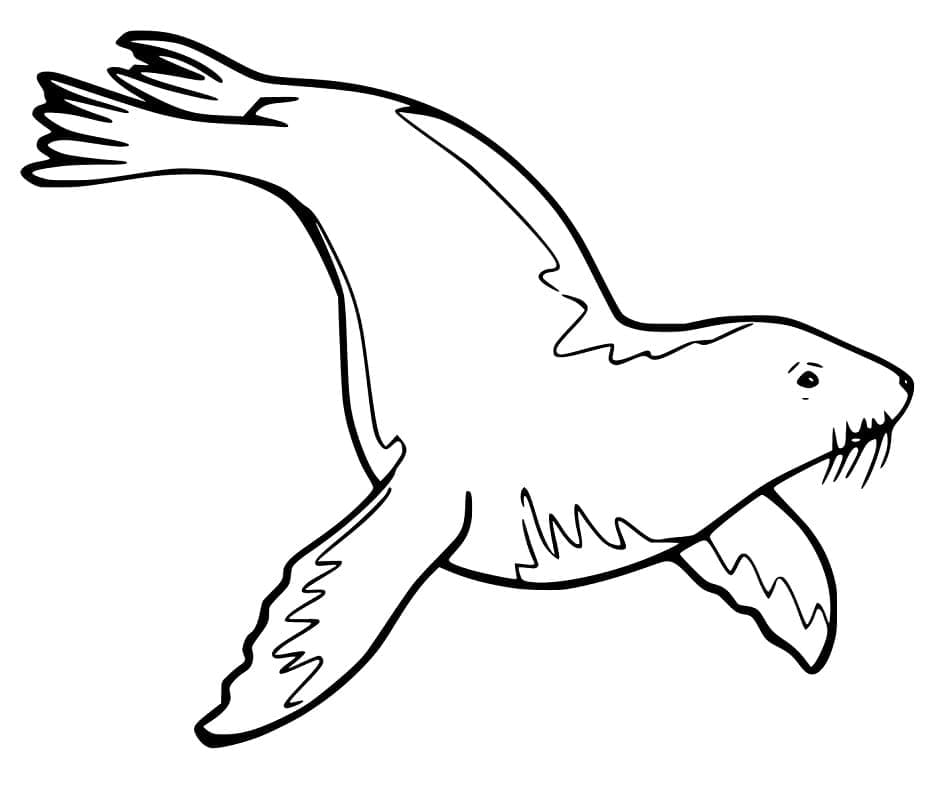 Dessin à colorier: Otarie (Animaux) #192537 - Coloriages à Imprimer Gratuits