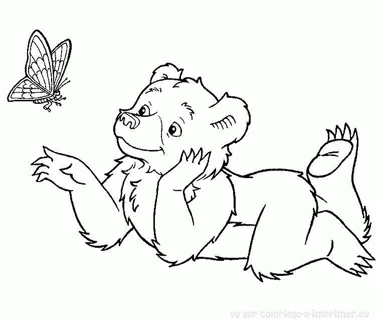 Dessin à colorier: Ours (Animaux) #12238 - Coloriages à Imprimer Gratuits