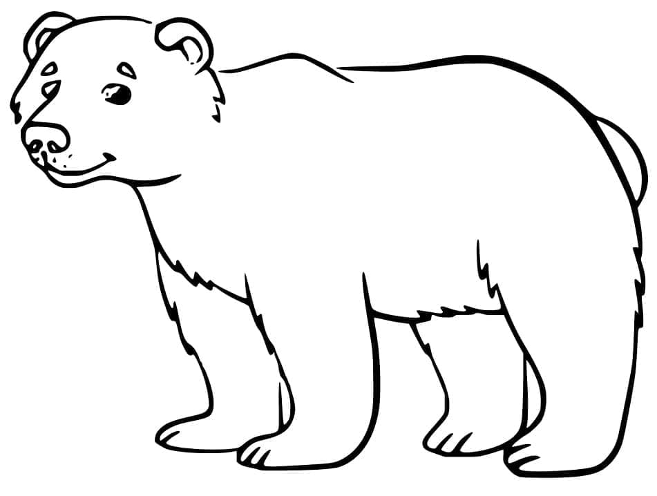 Coloriage gratuit Ours #180724 de la collection Animaux à imprimer Coloriage gratuit Ours #180724 de la collection Animaux à imprimer
