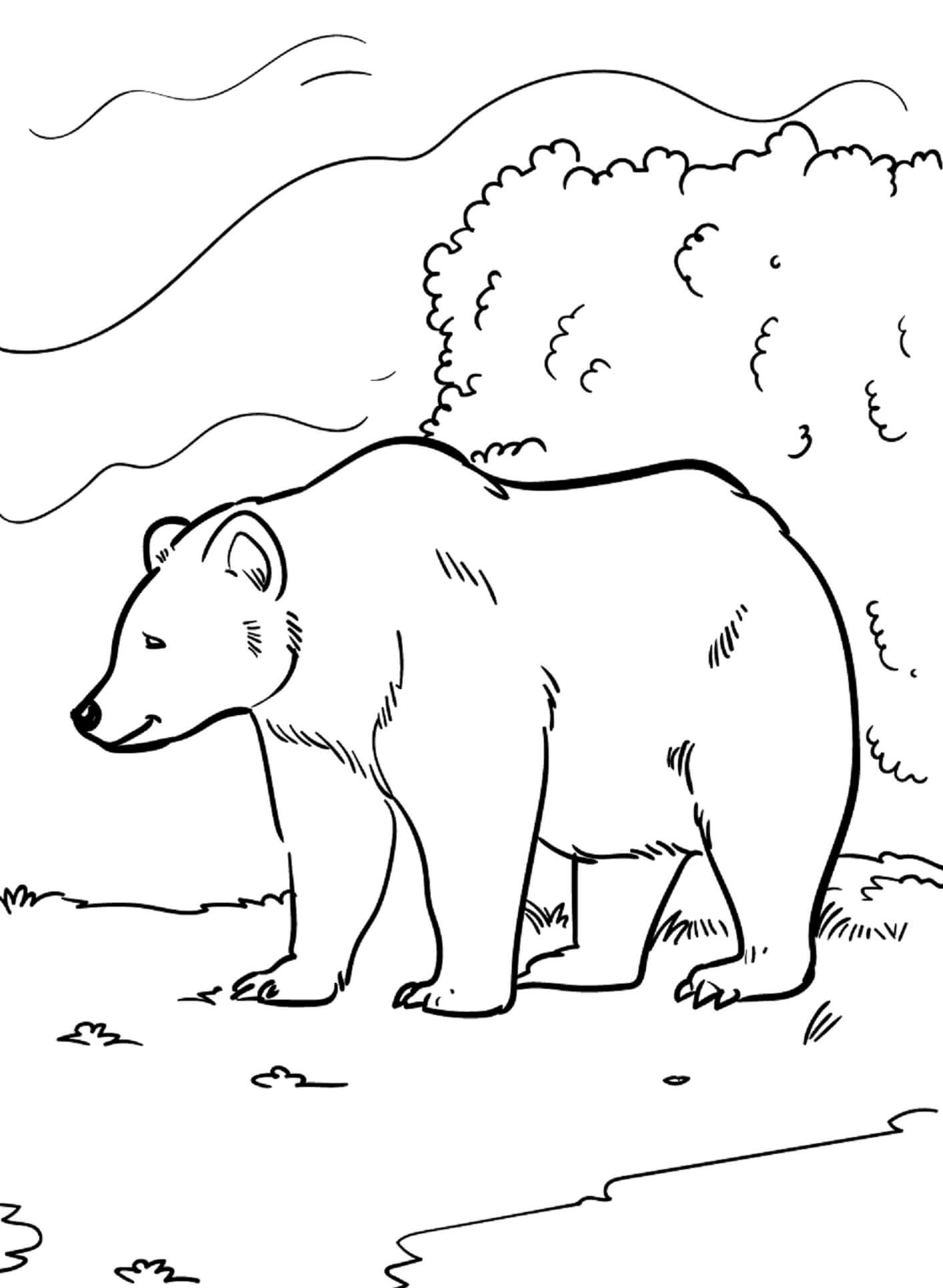 Coloriage gratuit Ours #217196 de la collection Animaux à imprimer