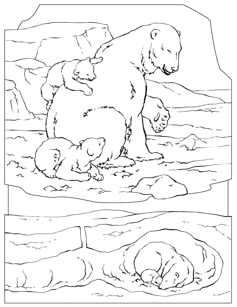 Coloriage gratuit pour enfants et adultes Ours Polaire #201220, collection Animaux