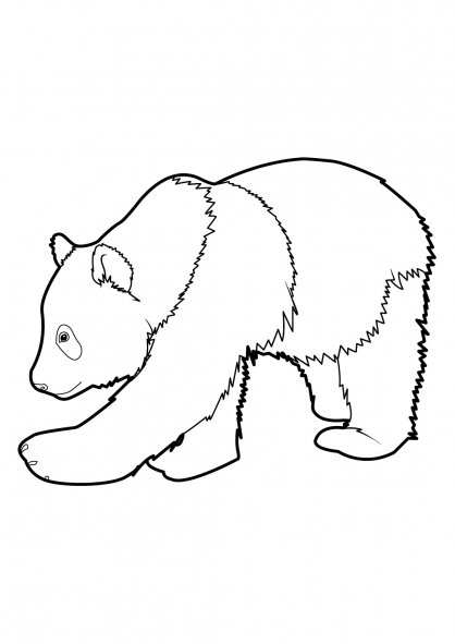 Dessin à colorier: Panda (Animaux) #12452 - Coloriages à Imprimer Gratuits