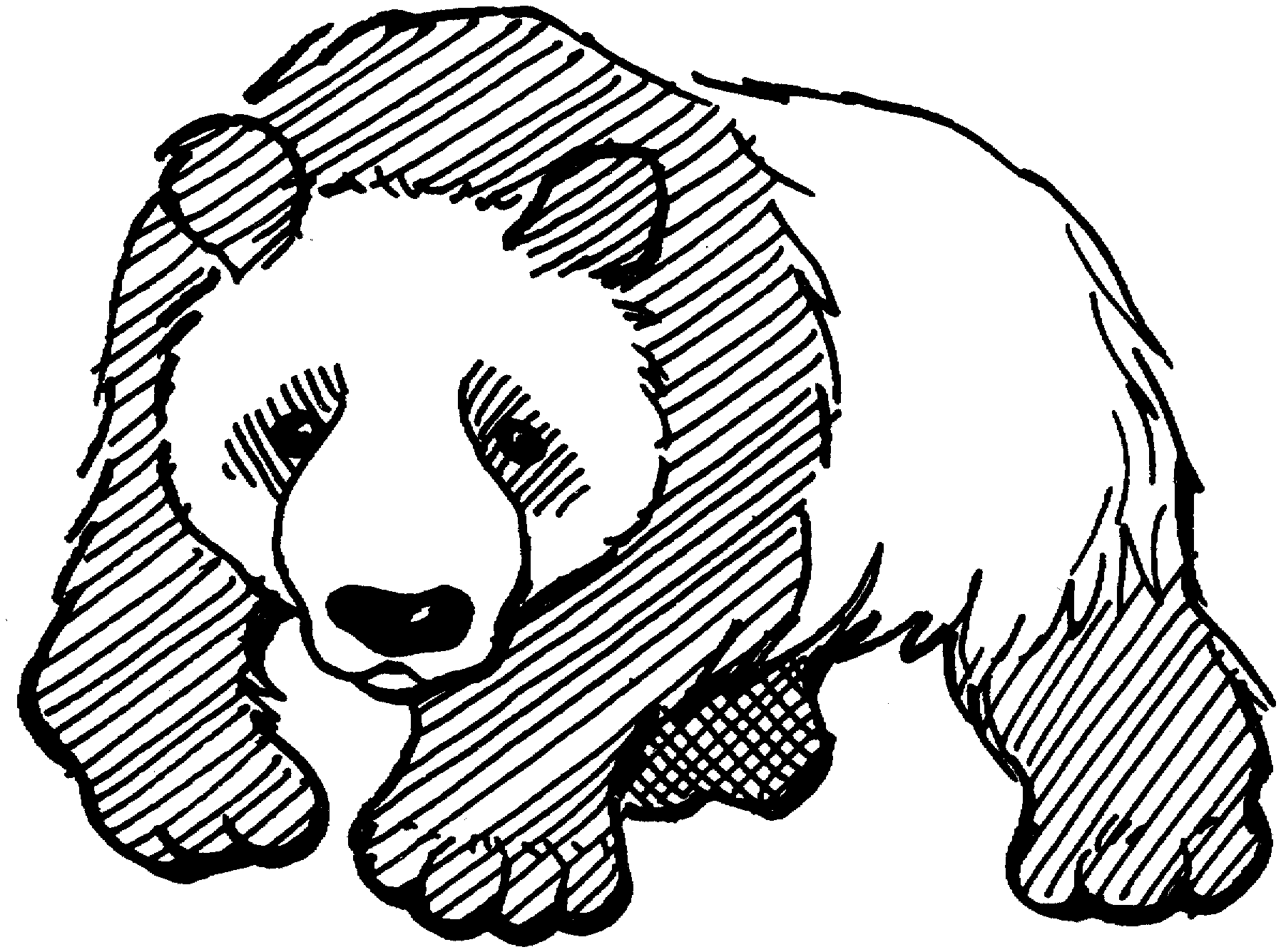Распечатка медведя. Медведь раскраска. Медведь раскраска для детей. Медведь рисунок. Раскраска Панда.