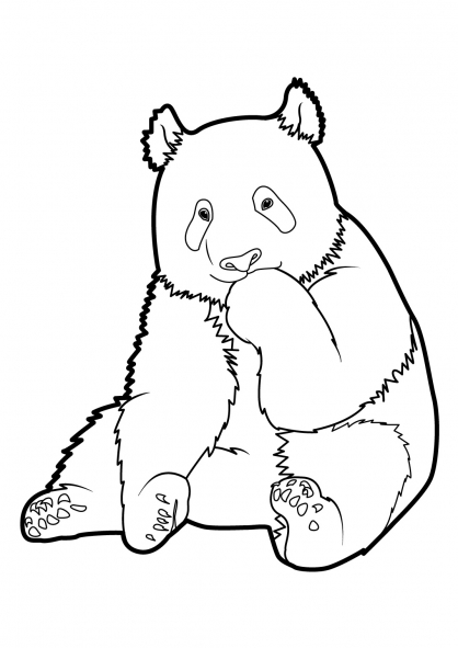 Dessin à colorier: Panda (Animaux) #12465 - Coloriages à Imprimer Gratuits