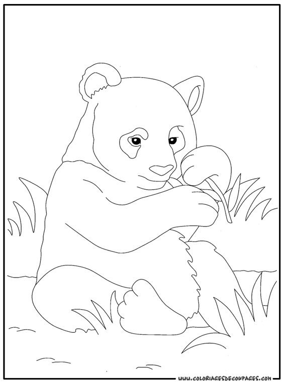 Dessin à colorier: Panda (Animaux) #12488 - Coloriages à Imprimer Gratuits