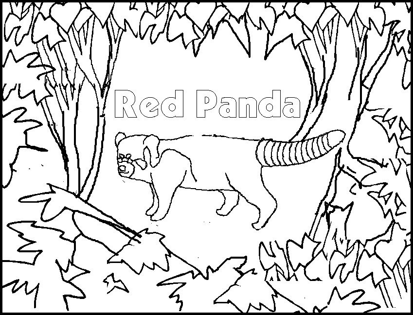 Dessin à colorier: Panda (Animaux) #12596 - Coloriages à Imprimer Gratuits