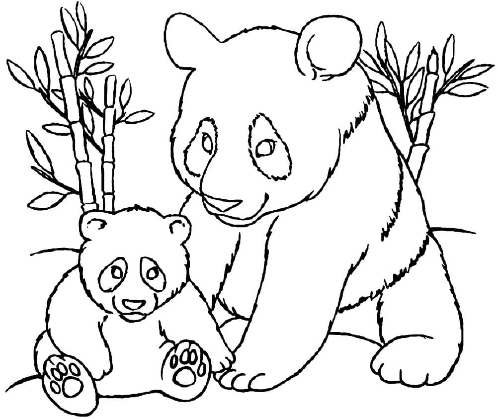 Dessin à colorier Panda #216926 issu de la collection Animaux, prêt à imprimer