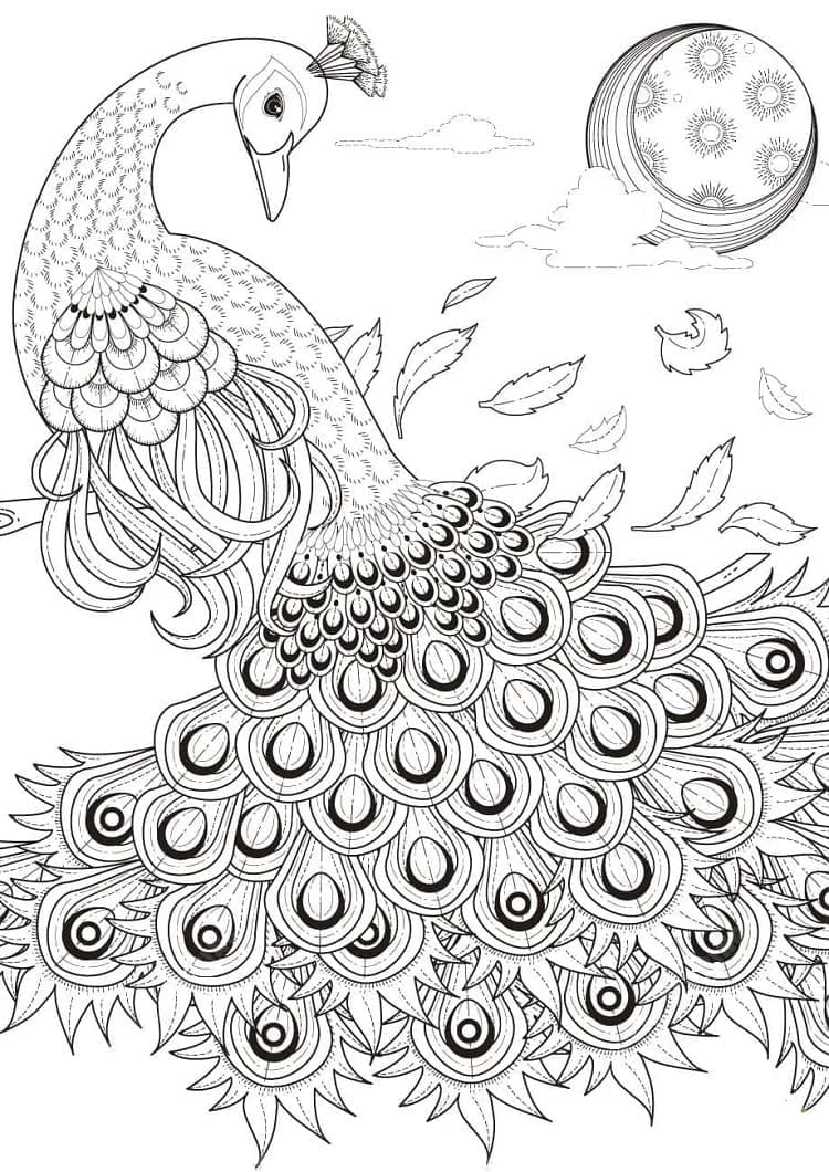 Coloriage gratuit Paon #197576 de la collection Animaux à imprimer