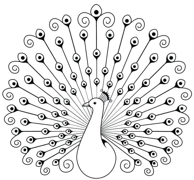 Coloriage gratuit Paon #197612 de la collection Animaux à imprimer