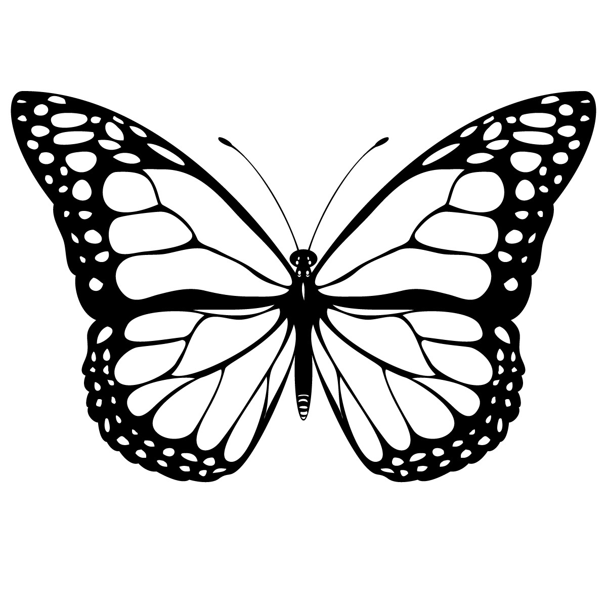 Vecteurs et illustrations de Papillon a colorier en téléchargement gratuit