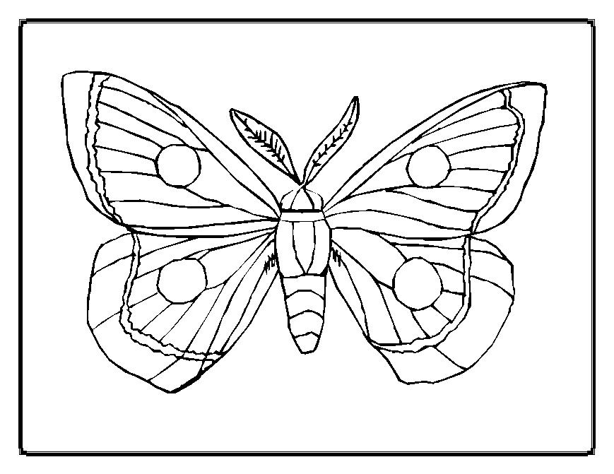 Dessin à colorier: Papillon (Animaux) #15667 - Coloriages à Imprimer Gratuits