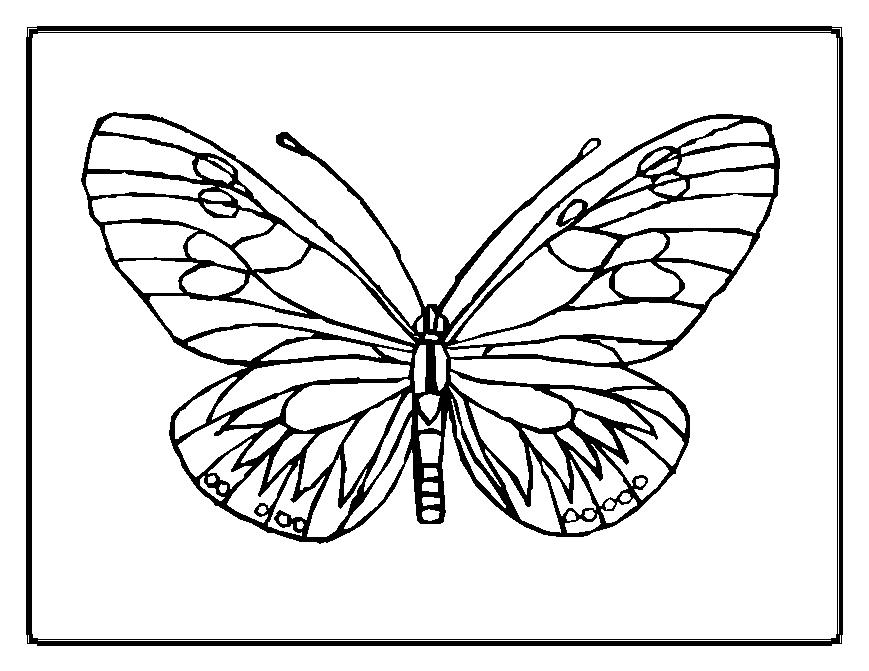 Dessin à colorier: Papillon (Animaux) #15669 - Coloriages à Imprimer Gratuits