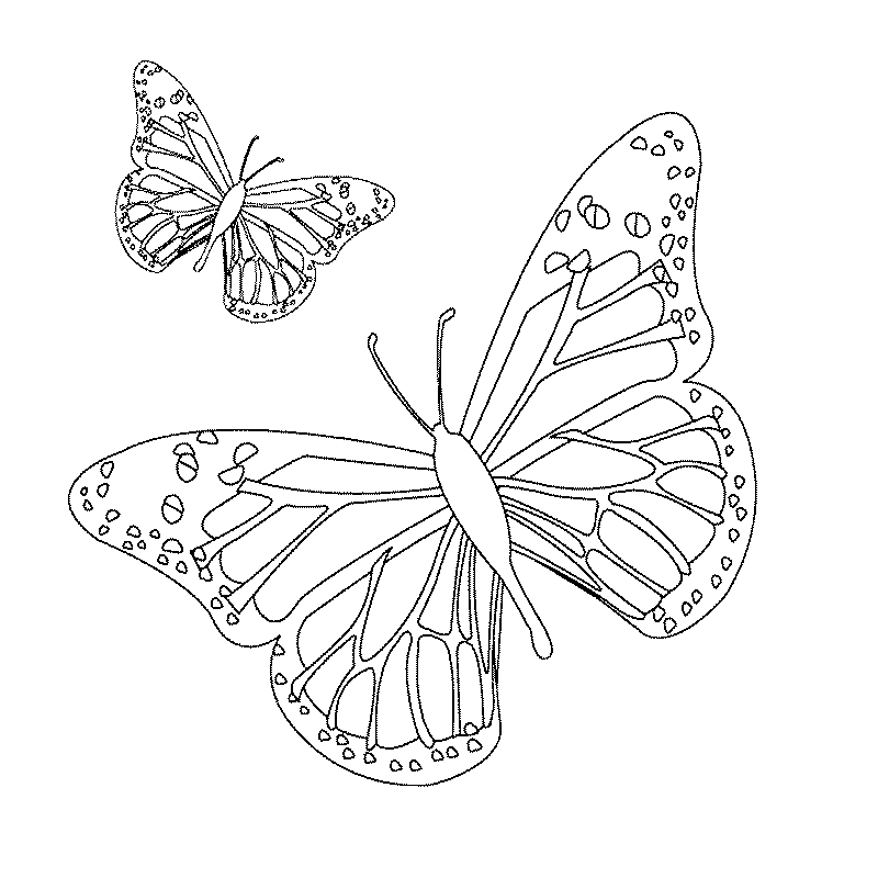 Dessin à colorier: Papillon (Animaux) #15672 - Coloriages à Imprimer Gratuits