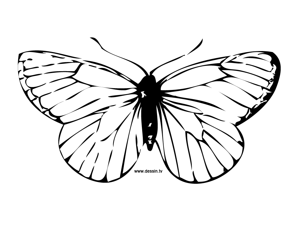 Dessin à colorier: Papillon (Animaux) #15675 - Coloriages à Imprimer Gratuits