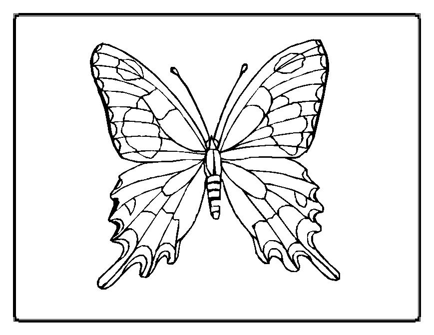 Dessin à colorier: Papillon (Animaux) #15678 - Coloriages à Imprimer Gratuits