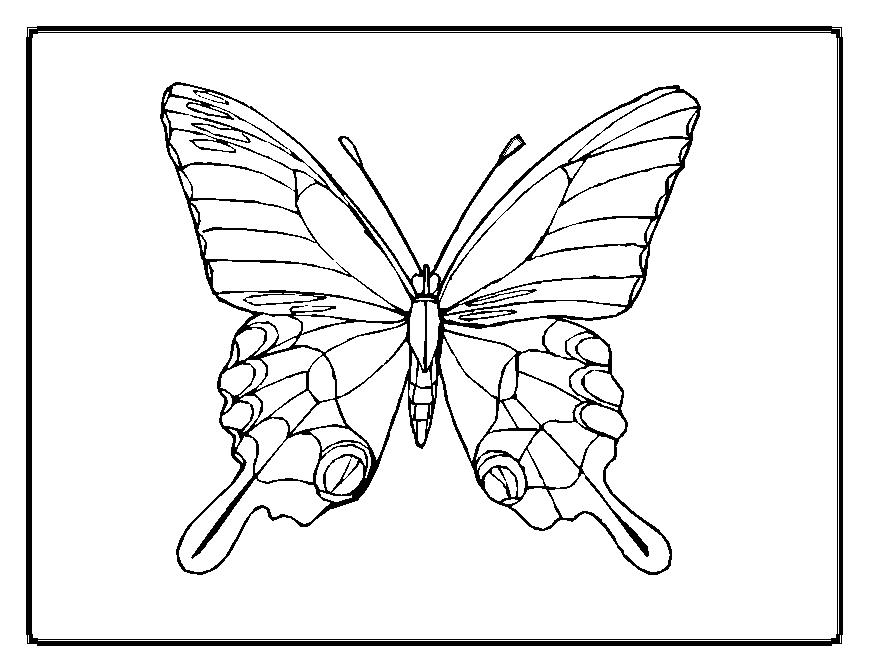Dessin à colorier: Papillon (Animaux) #15694 - Coloriages à Imprimer Gratuits