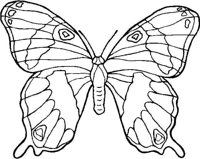 Dessin à colorier: Papillon (Animaux) #15697 - Coloriages à Imprimer Gratuits