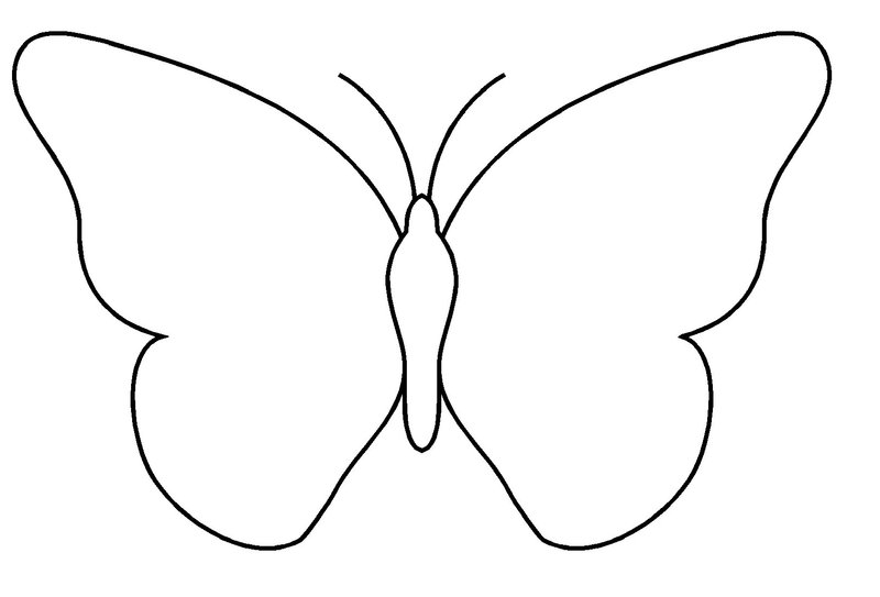 Dessins Gratuits à Colorier - Coloriage Papillon Maternelle à imprimer