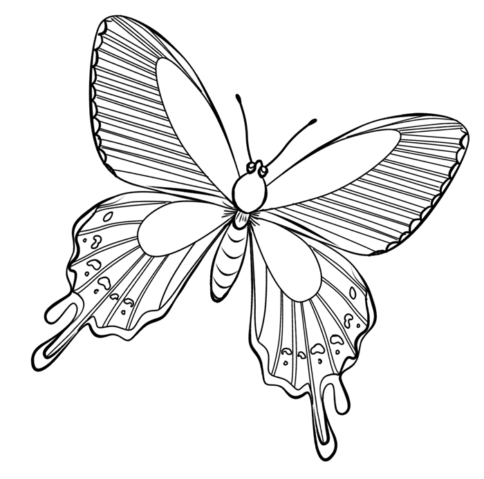 Dessin à colorier: Papillon (Animaux) #15715 - Coloriages à Imprimer Gratuits