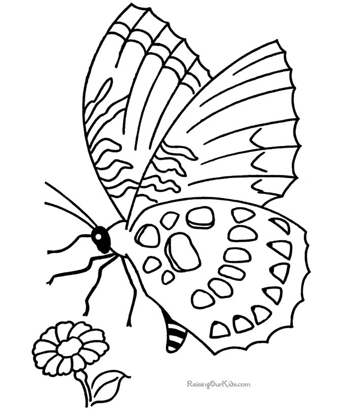 Dessin à colorier: Papillon (Animaux) #15720 - Coloriages à Imprimer Gratuits