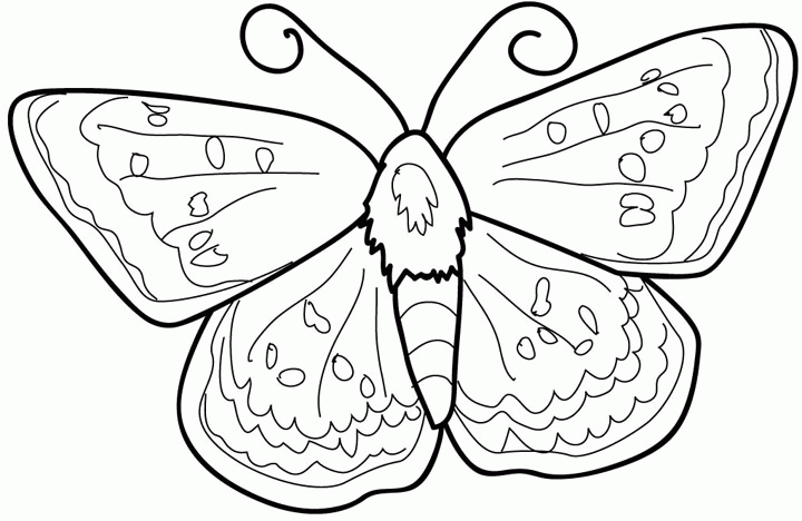 Dessin à colorier: Papillon (Animaux) #15740 - Coloriages à Imprimer Gratuits