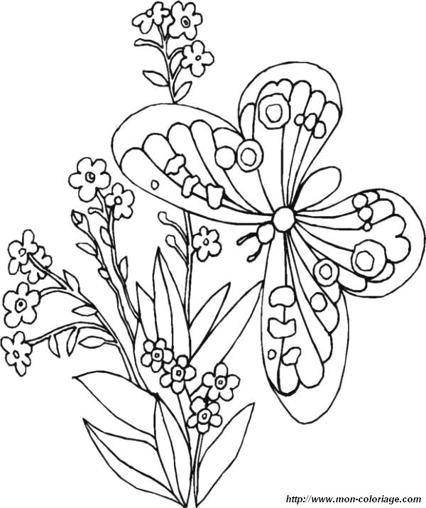 Dessin à colorier: Papillon (Animaux) #15743 - Coloriages à Imprimer Gratuits