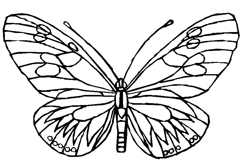 Dessin à colorier: Papillon (Animaux) #15745 - Coloriages à Imprimer Gratuits